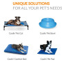 Pet Bath Blue Medium Dog Pool For Pet Clear and Swim