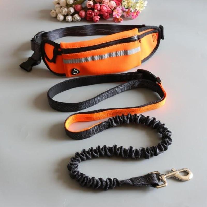 Hands Free Dog Leash-Multifunction Pet Training Leash with Waist Bag for Dog Safety Traing,Walking,Running,Hand Pulling Leash