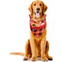 Thanksgiving Pet Bandanas Maple Leaf Dog Bandana Bibs Fall Dog Kerchief Scarf for Dogs Cats Holiday Costume