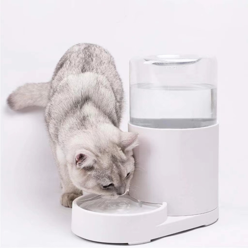 Pet Water Dispenser