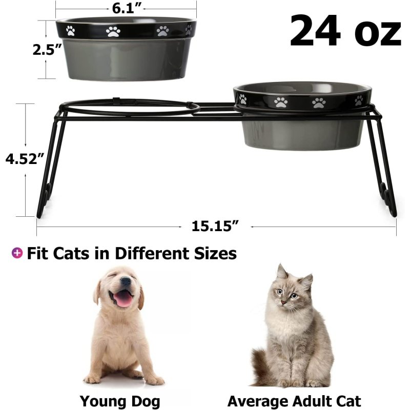Prevent Neck Pain Elevated Ceramic Cat Bowls  for Food and Water