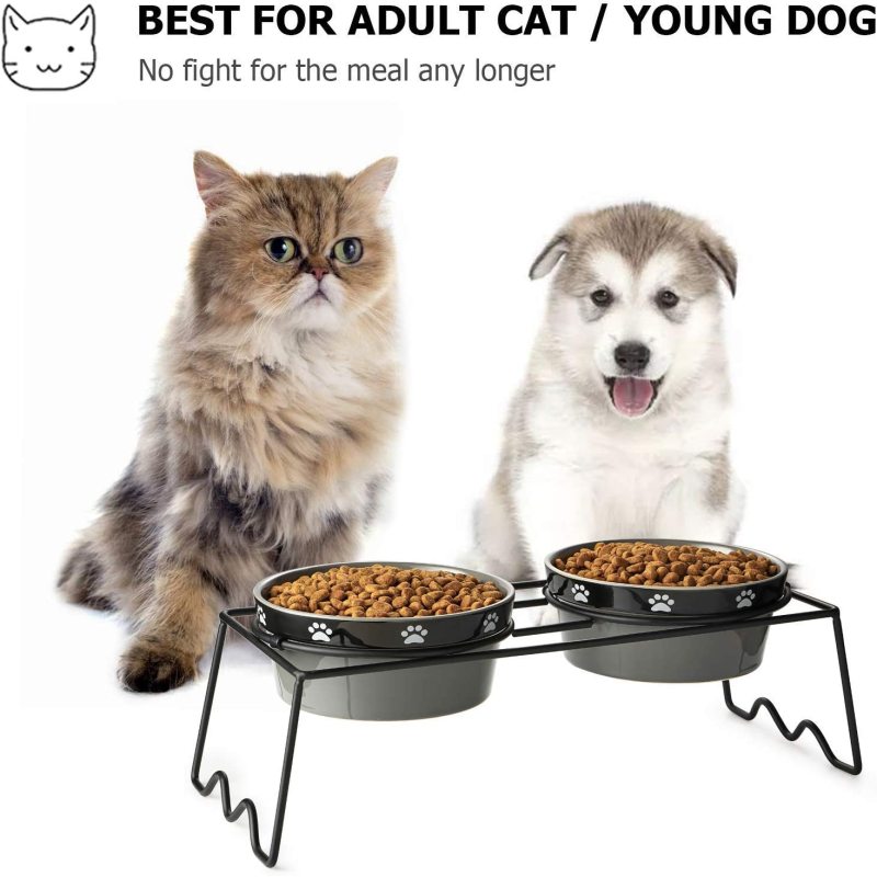 Prevent Neck Pain Elevated Ceramic Cat Bowls  for Food and Water