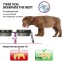 Prevent Neck Pain Elevated Ceramic Cat Bowls  for Food and Water