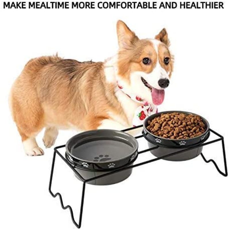 Prevent Neck Pain Elevated Ceramic Cat Bowls  for Food and Water