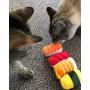 Sushi Toys for Cats and Kittens, Organic Catnip Unique Cat Lover Gift Non-Toxic