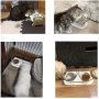 Double Cat Bowl Tilted Platform Cat Feeders Food and Water Bowls,Reduce Neck Pain for Cats and Small Dogs