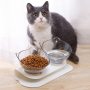 Double Cat Bowl Tilted Platform Cat Feeders Food and Water Bowls,Reduce Neck Pain for Cats and Small Dogs