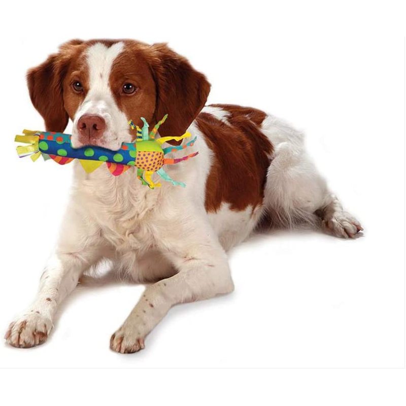 Dog Toy Pet Stages Cool Teething Stick Dog Chew Toy Pet Products