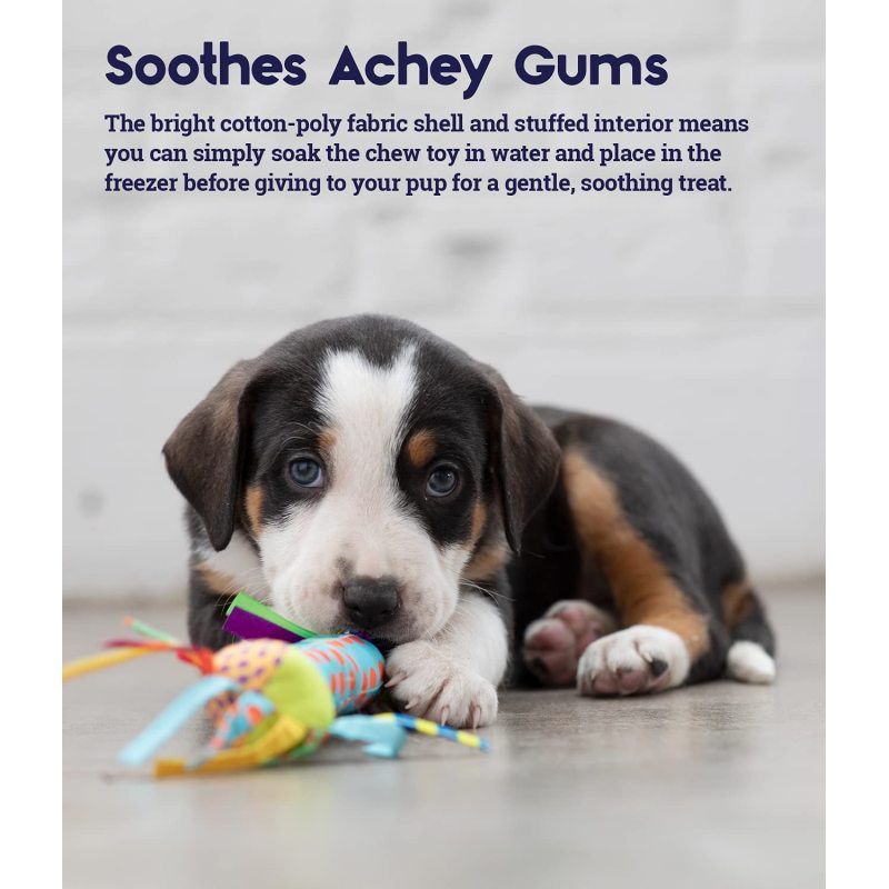 Dog Toy Pet Stages Cool Teething Stick Dog Chew Toy Pet Products