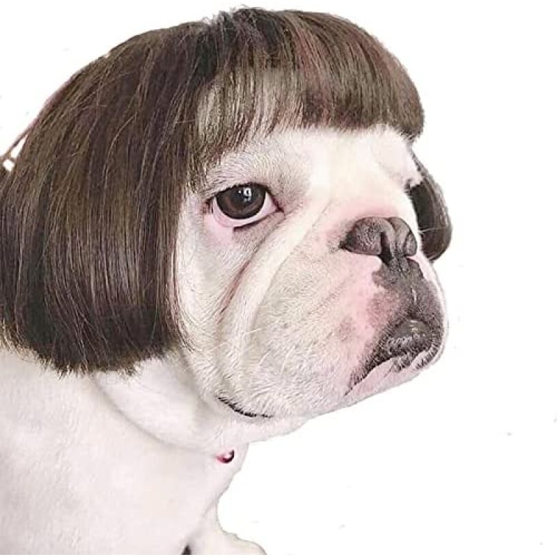 Funny Dog Cat Cosplay Wig Pet Decoration For Halloween, Christmas, Parties, Festivals