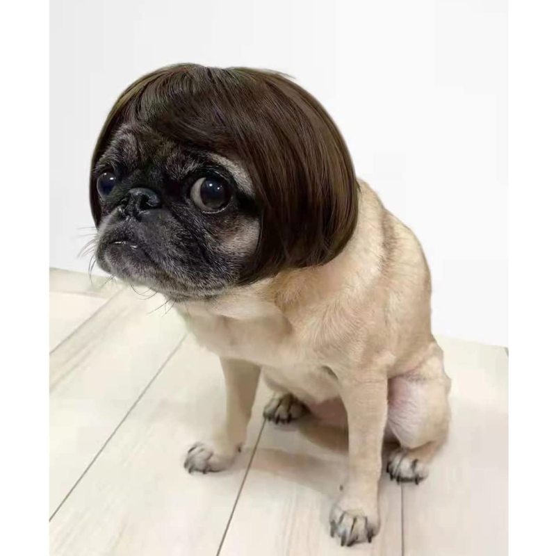 Funny Dog Cat Cosplay Wig Pet Decoration For Halloween, Christmas, Parties, Festivals