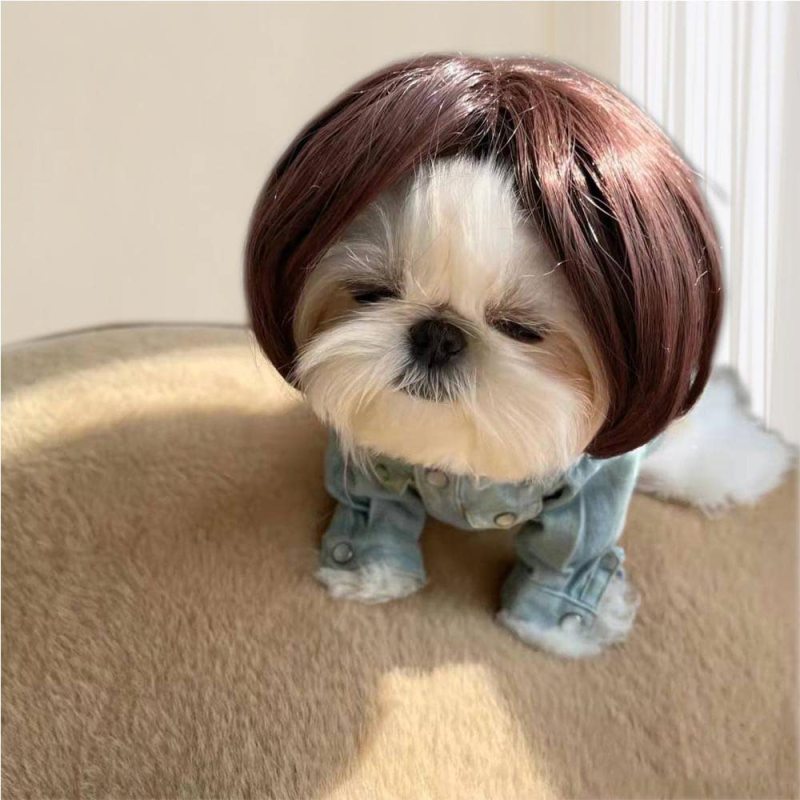 Funny Dog Cat Cosplay Wig Pet Decoration For Halloween, Christmas, Parties, Festivals