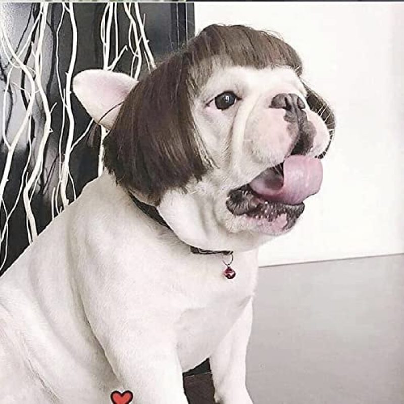 Funny Dog Cat Cosplay Wig Pet Decoration For Halloween, Christmas, Parties, Festivals