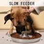 Food Feeding Weaning Stainless Steel Puppy Bowl for Medium Pets