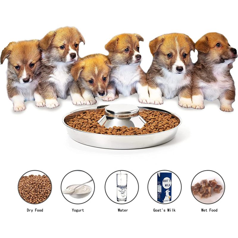 Food Feeding Weaning Stainless Steel Puppy Bowl for Medium Pets