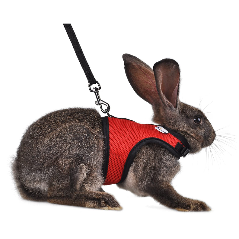 Adjustable Soft Harness with Elastic Leash for Rabbits