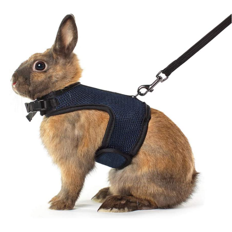 Adjustable Soft Harness with Elastic Leash for Rabbits