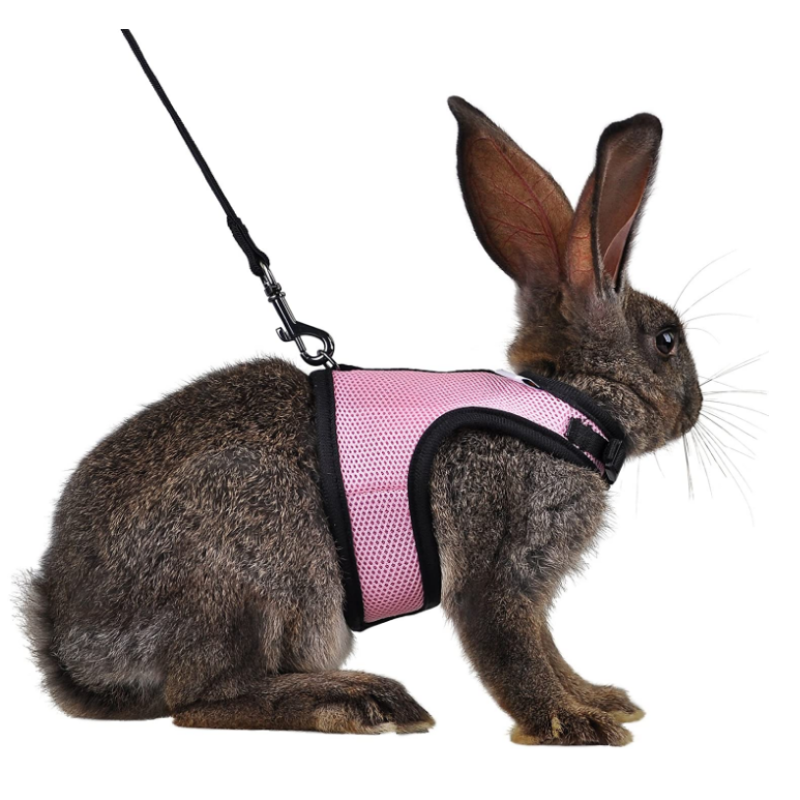Adjustable Soft Harness with Elastic Leash for Rabbits