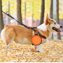 Foldable Pet Travel Bowl