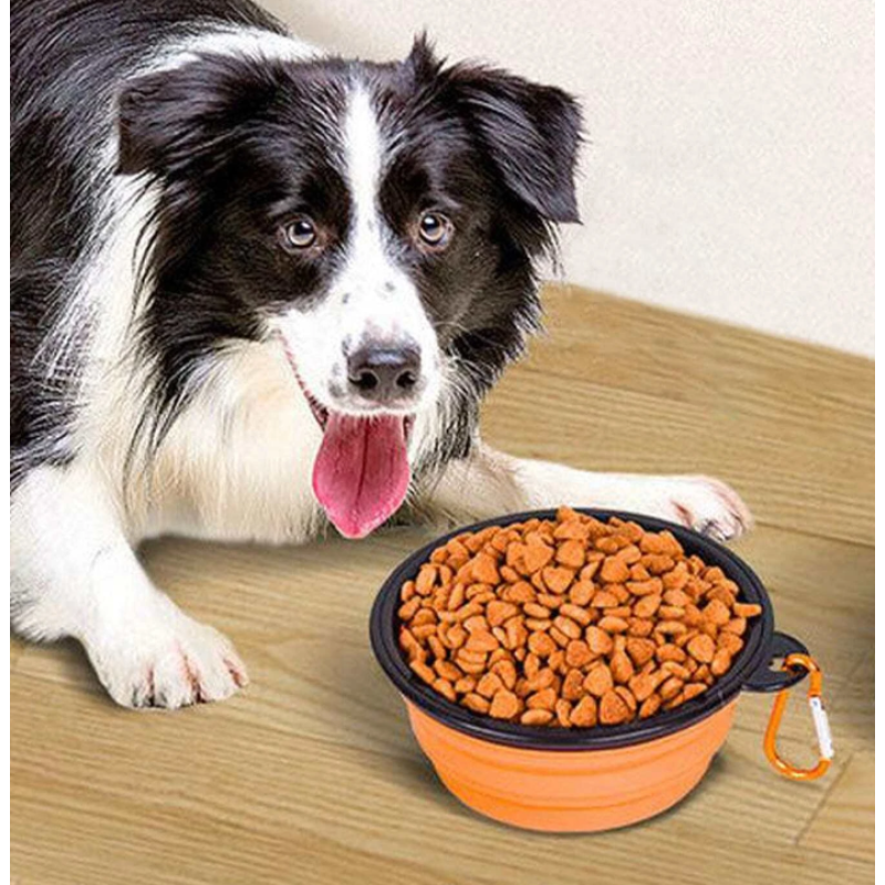 Foldable Pet Travel Bowl