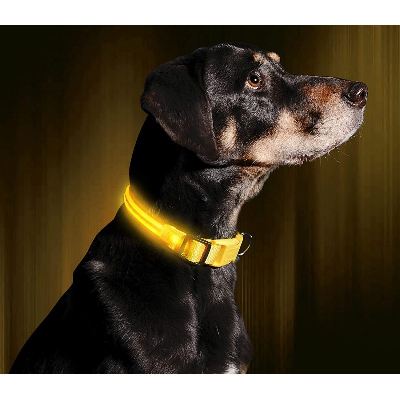 OEM LED Dog Collar Water Resistant Reflective Super Bright Flashing Nylon USB Rechargeable Safety Pet Collar