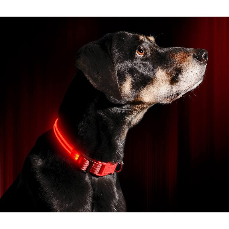 OEM LED Dog Collar Water Resistant Reflective Super Bright Flashing Nylon USB Rechargeable Safety Pet Collar