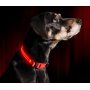 OEM LED Dog Collar Water Resistant Reflective Super Bright Flashing Nylon USB Rechargeable Safety Pet Collar