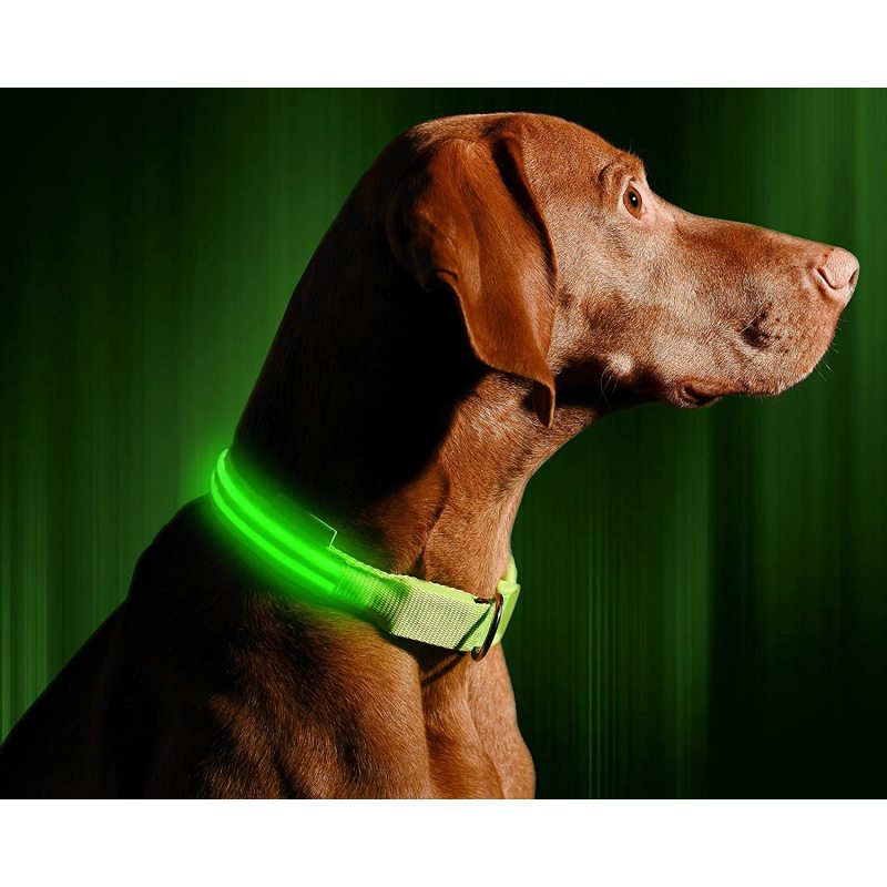OEM LED Dog Collar Water Resistant Reflective Super Bright Flashing Nylon USB Rechargeable Safety Pet Collar