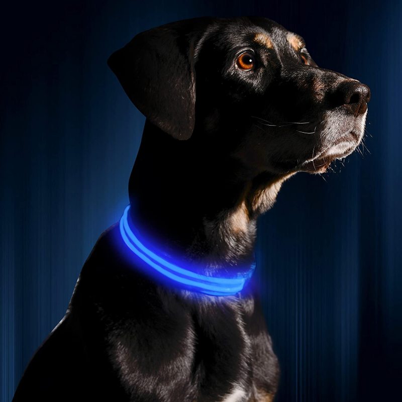 OEM LED Dog Collar Water Resistant Reflective Super Bright Flashing Nylon USB Rechargeable Safety Pet Collar