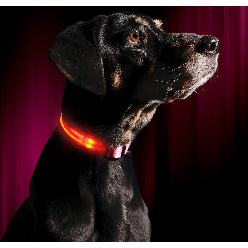OEM LED Dog Collar Water Resistant Reflective Super Bright Flashing Nylon USB Rechargeable Safety Pet Collar