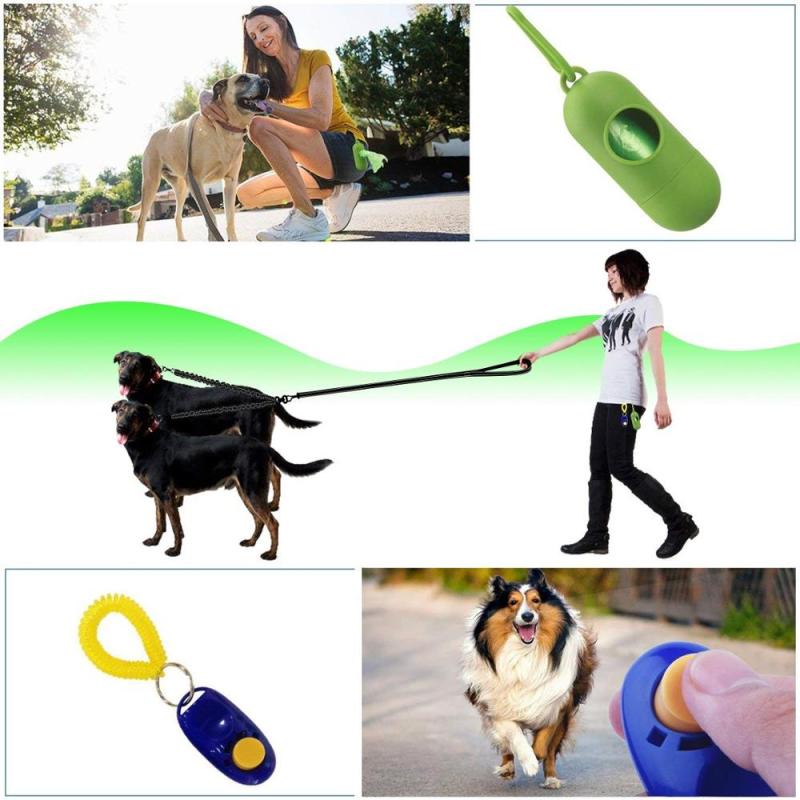 ,Double Dog Leash No Tangle  Dog Walking Training Leash, Comfortable Shock Absorbing Reflective Bungee For Two Dogs
