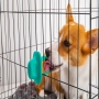 Factory wholesale Dog Peanut Butter Toy for Crate Training Dog Therapy Dispenser Crate Toy