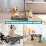 Adjustable Raised Elevated Dog Bowls Food Bowls Stand Non-Slip For Dog
