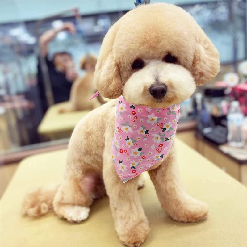 Dogs Bandanas Bulk Pet Summer Bandanas Pack Cat Kerchief Washable Triangle Bibs Head Scarves Scarfs Random Patterns for Boys an