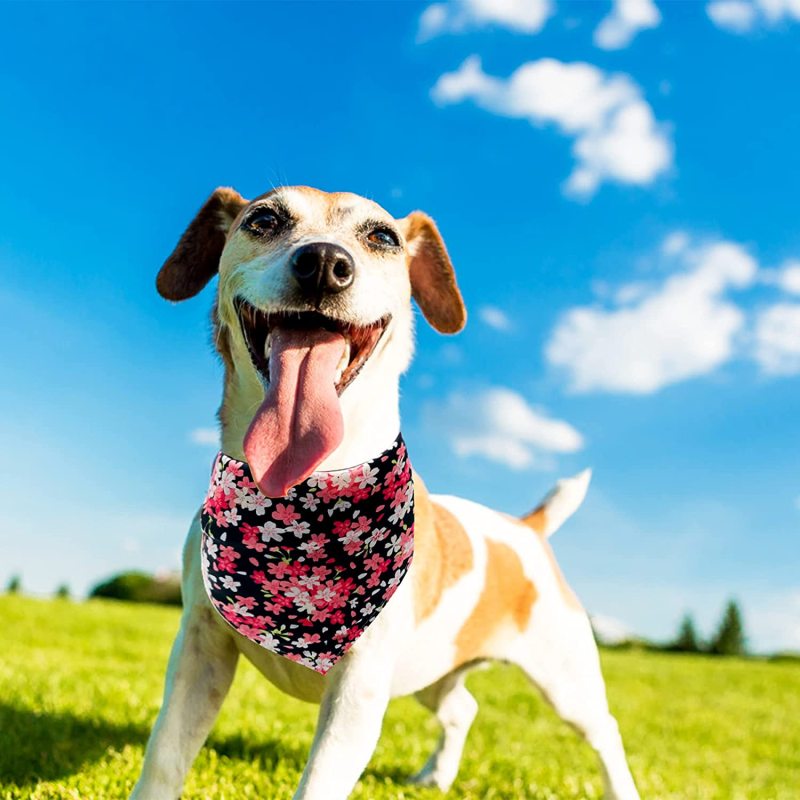 Dogs Bandanas Bulk Pet Summer Bandanas Pack Cat Kerchief Washable Triangle Bibs Head Scarves Scarfs Random Patterns for Boys an