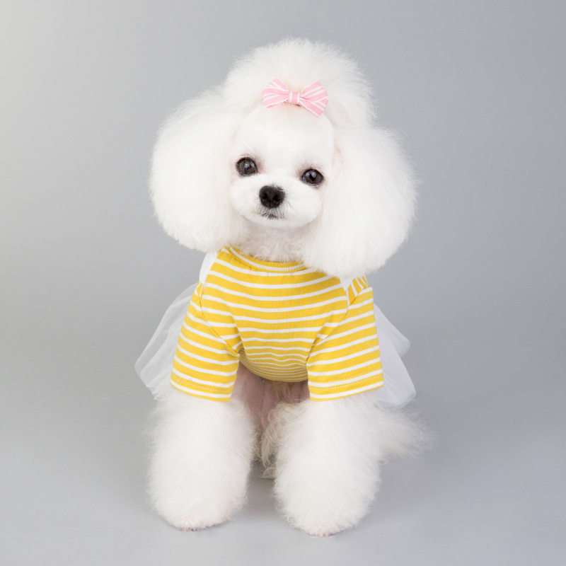 Pet Apparel Dog Clothes Dresses Vest Shirts Sundress Mustard Yellow Stripe Printed and Lace skirt