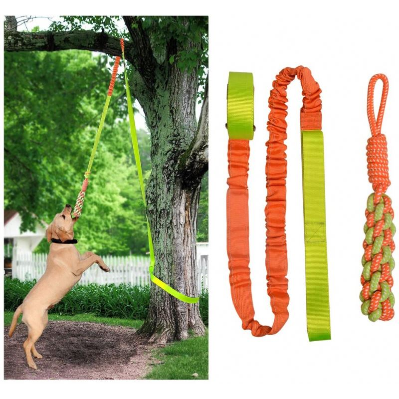 Outdoor Hanging Bungee Dog Tug Toy Rope Retractable Interactive Dog Toy