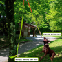 Outdoor Hanging Bungee Dog Tug Toy Rope Retractable Interactive Dog Toy
