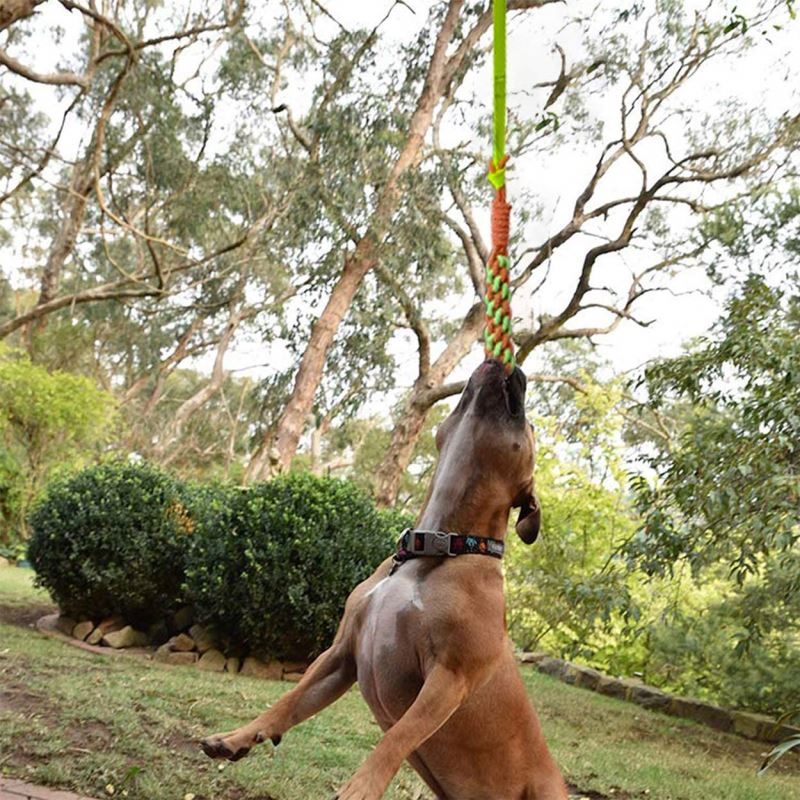 Outdoor Hanging Bungee Dog Tug Toy Rope Retractable Interactive Dog Toy