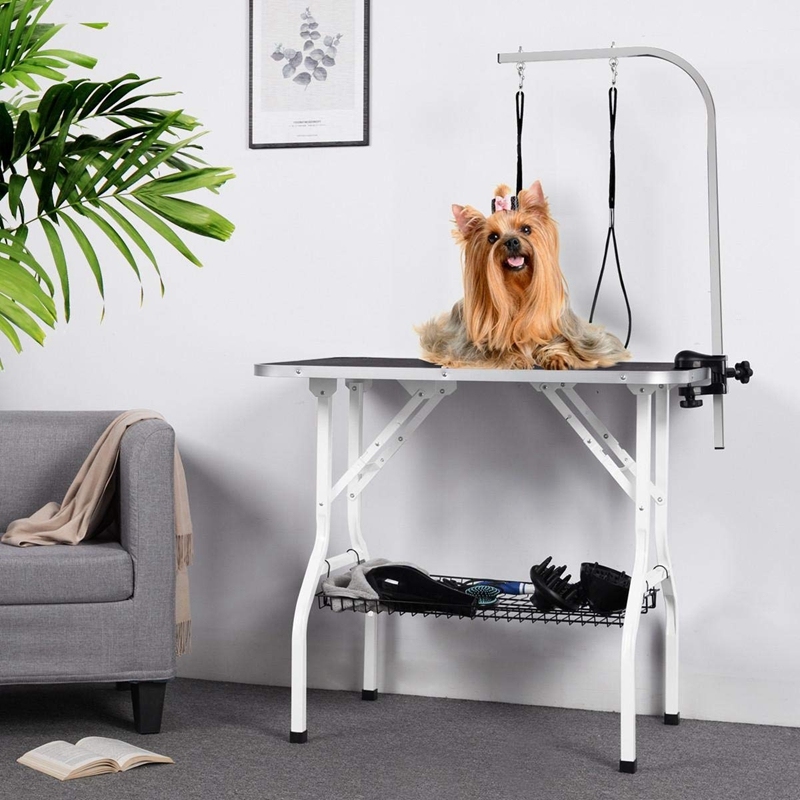 Wholesale Custom Heavy Duty Stainless Steel Frame Foldable Height Adjustable Dog Pet Grooming Table