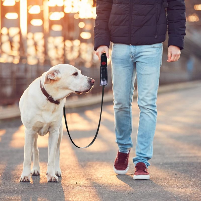 Heavy Duty Puppy Retractable Dog Leash Nylon Tape for Small Medium Dog
