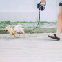 Heavy Duty Puppy Retractable Dog Leash Nylon Tape for Small Medium Dog
