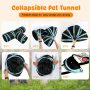 Collapsible Bunny Tunnels & Tubes
