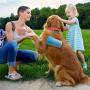 Pet Paw Carer Foot Cleaner foot barrel Dog Footprint Cleaner Foot Washer,Cat Paw Cleaner With silicone brush