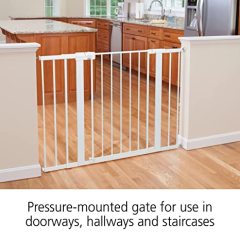 Safety 1st Easy Install 36