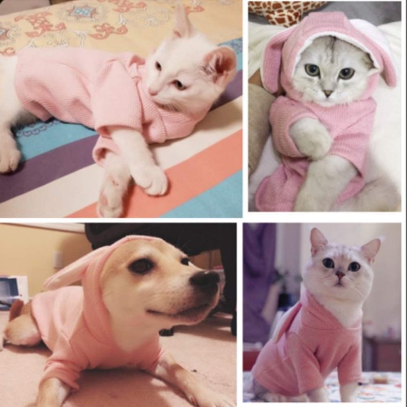 Pet Hoodie Cat Rabbit Outfit with Bunny Ears Cute Sweatshirt Spring and Autumn Puppy Knitted Sweater Kitty Soft Knitwear