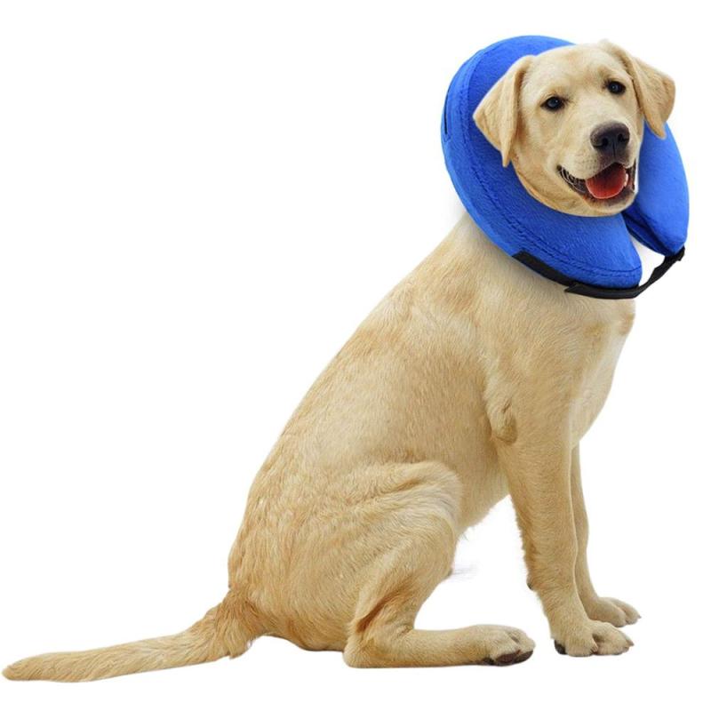 Protective Inflatable Collar for Dogs and Cats - Soft Pet Recovery Collar