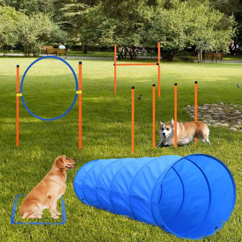 Agility Equipments Outdoor Dog Tunnel for Backyard Includes Pause Box with Carrying Case For Dog