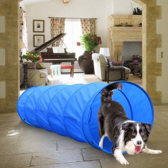Agility Equipments Outdoor Dog Tunnel for Backyard Includes Pause Box with Carrying Case For Dog