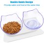 Cat Bowls Elevated Cat Food Water Bowls Set Pet Feeder Bowls with Stand